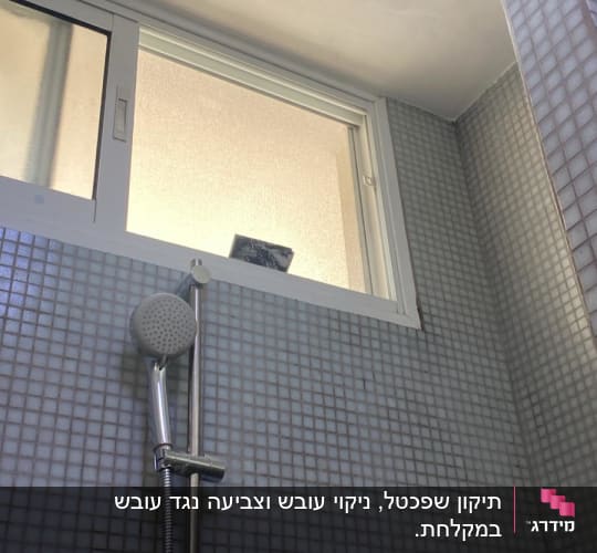 מקלחת עם אריחים ומקלחת יד